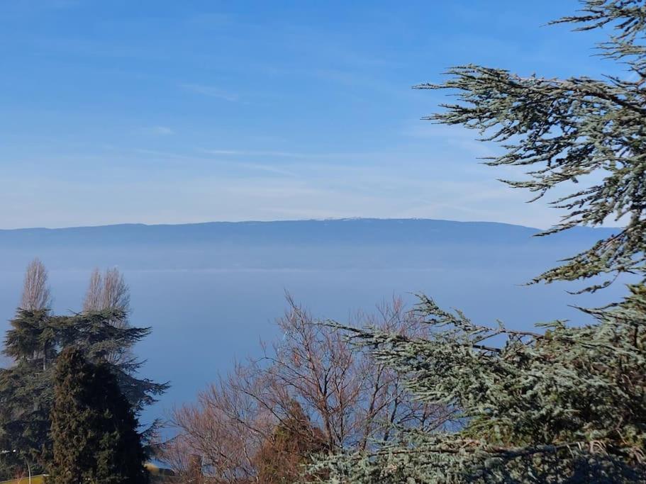 Le Mirabeau Vue Lac Évian-les-Bains Exterior foto