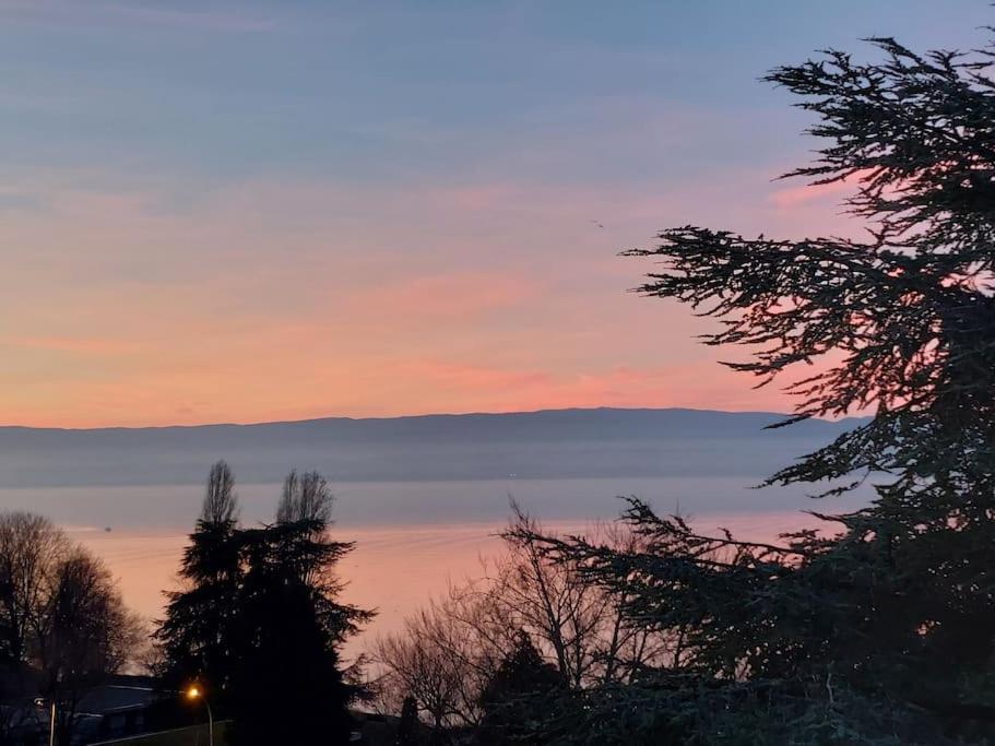 Le Mirabeau Vue Lac Évian-les-Bains Exterior foto